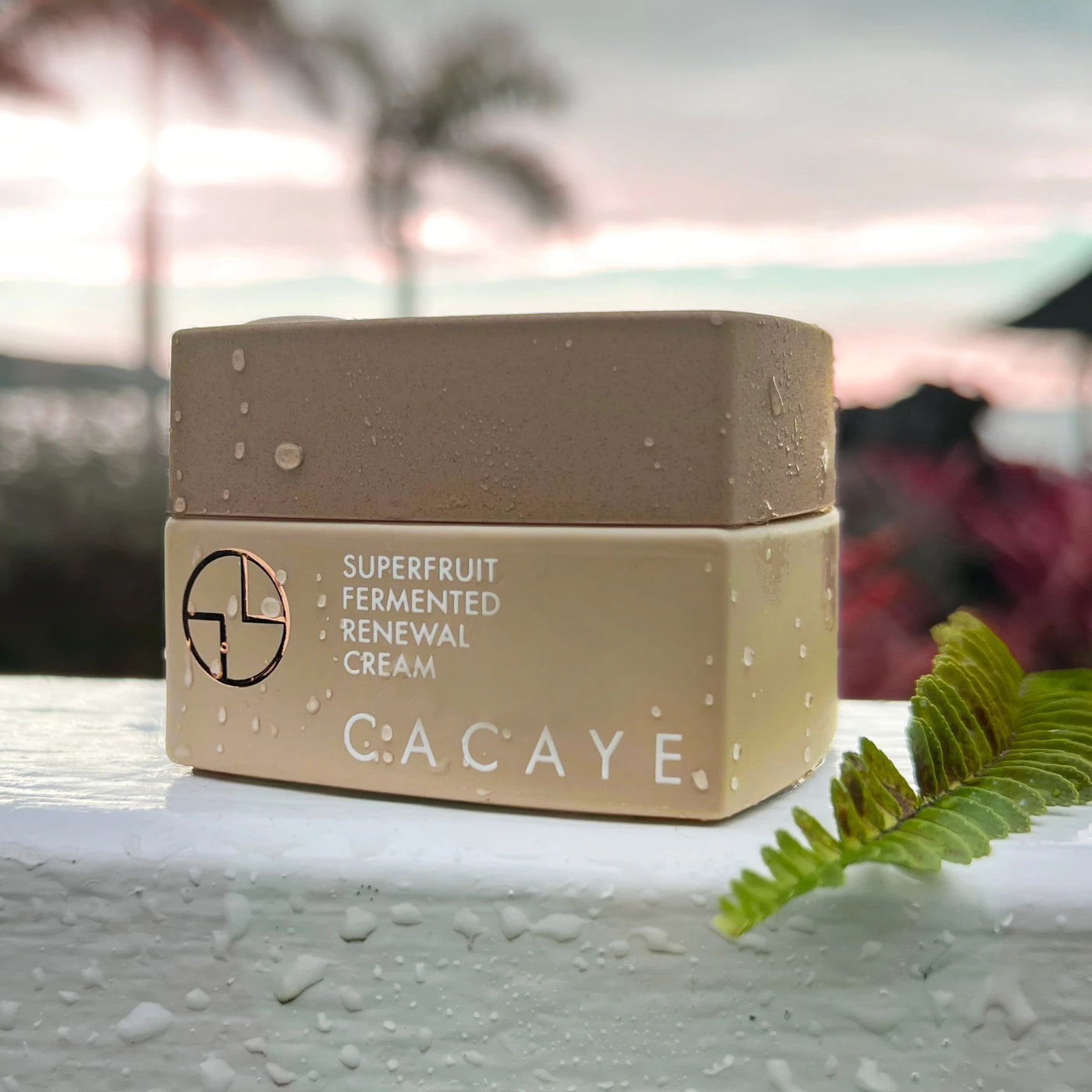 CACAYE Superfruit Fermented Renewal Cream Mini Trial for $15